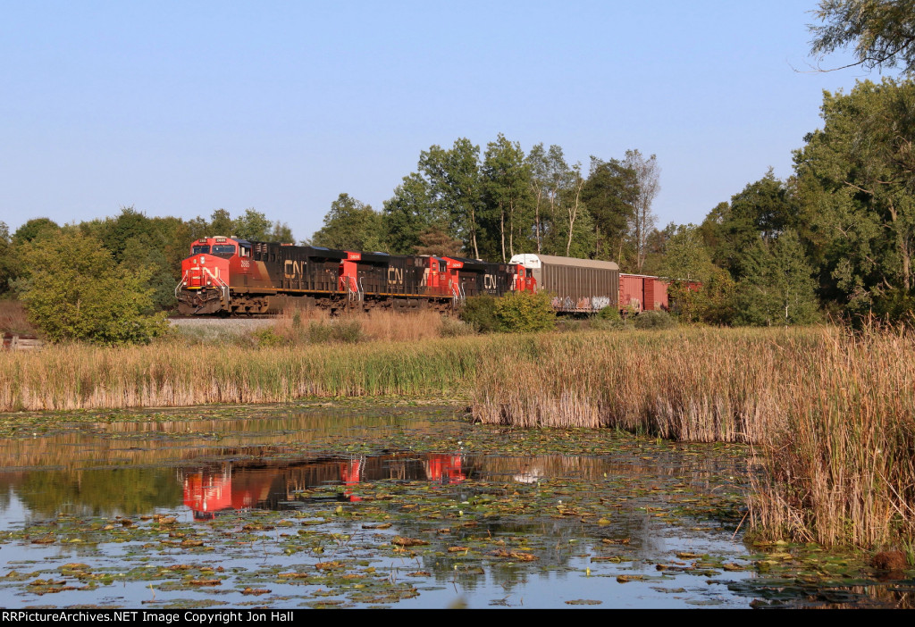 E251 comes north through the wetlands